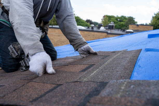 Best Roof Leak Repair  in Athens, MI
